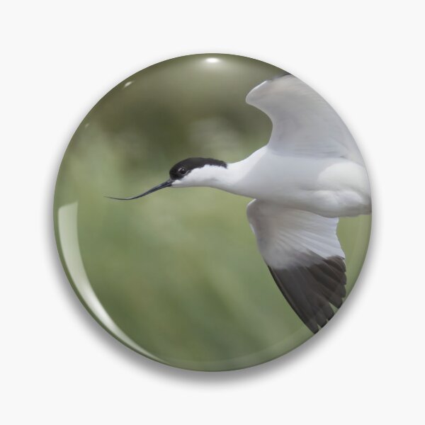 Item preview, Avocet designed and sold by LaurenTucker.