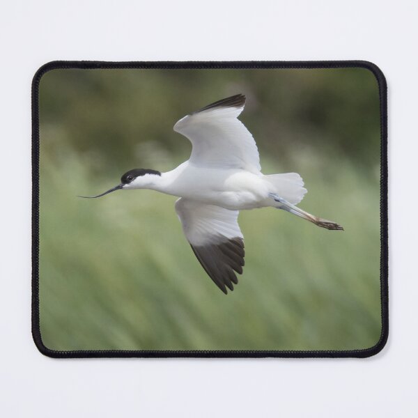Item preview, Avocet designed and sold by LaurenTucker.
