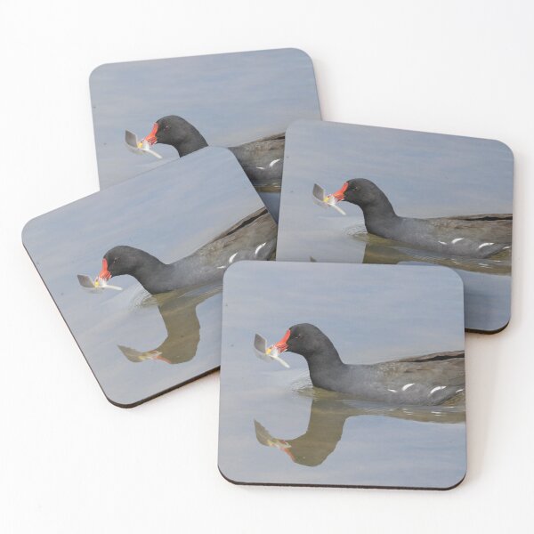 Item preview, Moorhen designed and sold by LaurenTucker.