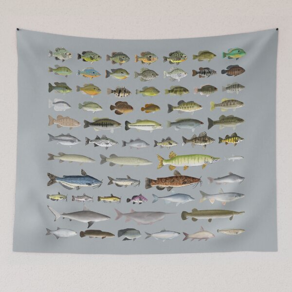 Item preview, North America Freshwater Fish Group designed and sold by fishfolkart.