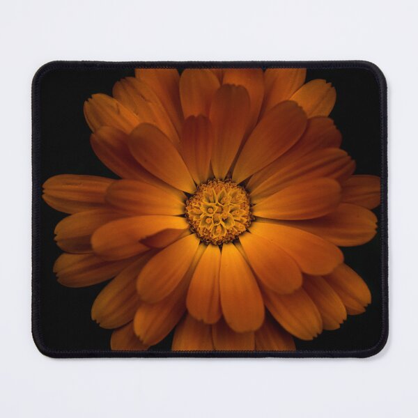 Item preview, Golden Radiance: The Warm Charm of an Orange Blossom designed and sold by D3Diy.