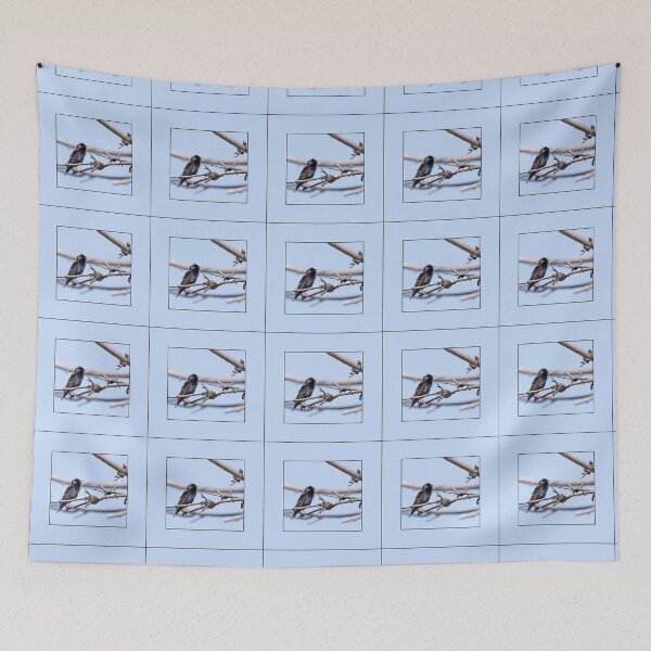 Item preview, European Starling Bird designed and sold by CarolM.