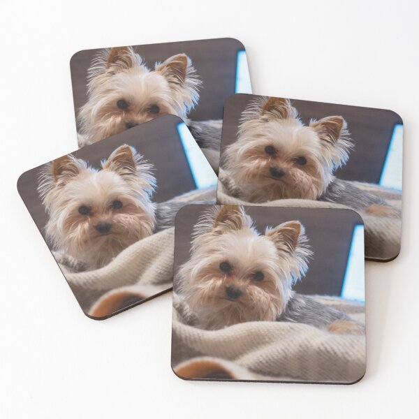 Item preview, dog Turist Park Samokov bulgaria designed and sold by oleg gendel.