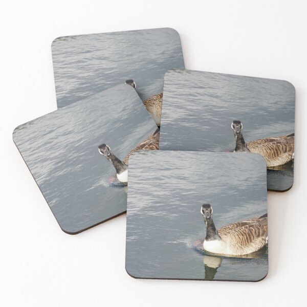 Item preview, Branta canadensis designed and sold by Norwegian Outdoors.