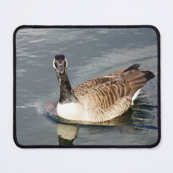 Item preview, Branta canadensis designed and sold by Norwegian Outdoors.