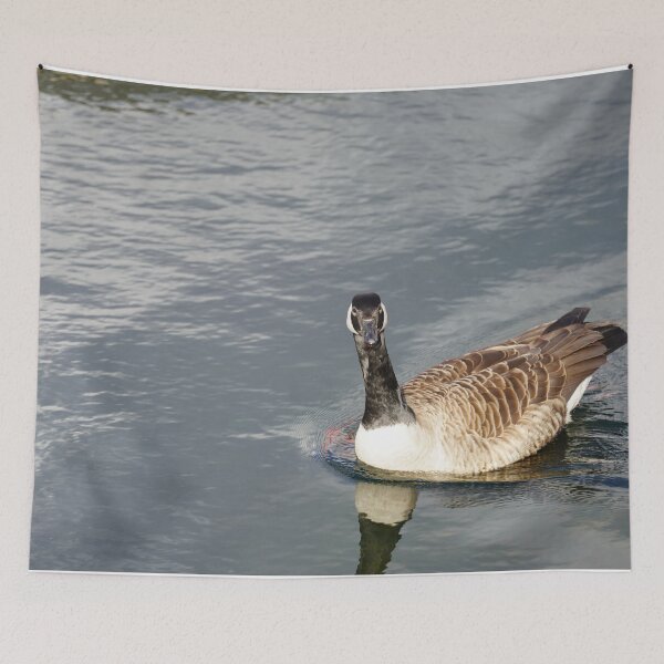 Item preview, Branta canadensis designed and sold by Norwegian Outdoors.