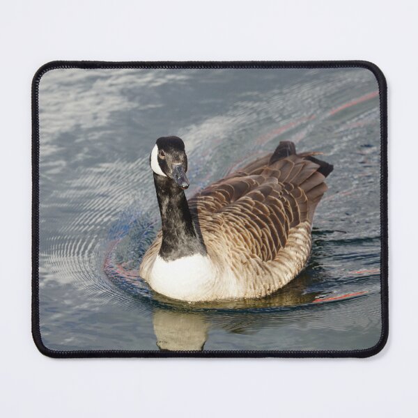 Item preview, Branta canadensis designed and sold by Norwegian Outdoors.