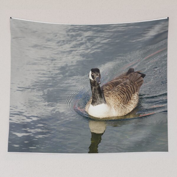 Item preview, Branta canadensis designed and sold by Norwegian Outdoors.