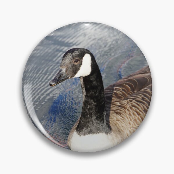 Item preview, Branta canadensis designed and sold by Norwegian Outdoors.