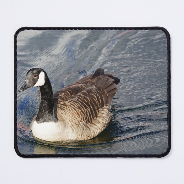 Item preview, Branta canadensis designed and sold by Norwegian Outdoors.