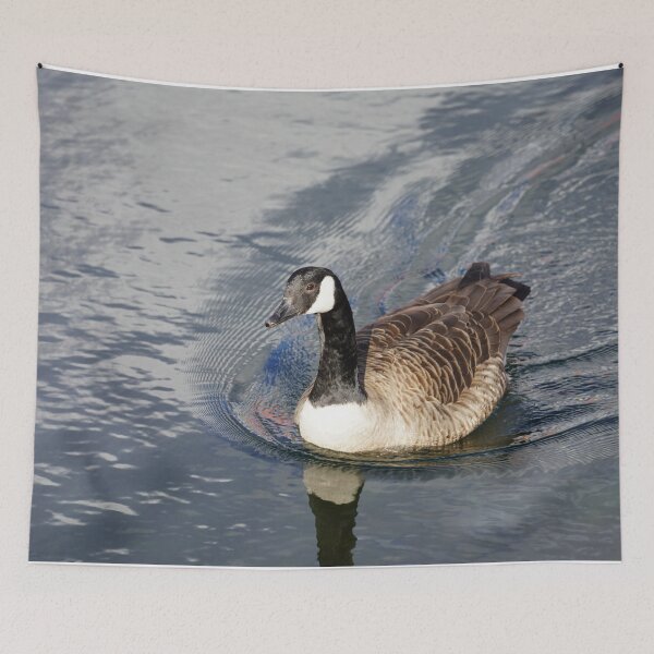 Aperçu de l'œuvre Branta canadensis créée et vendue par Norwegian Outdoors.
