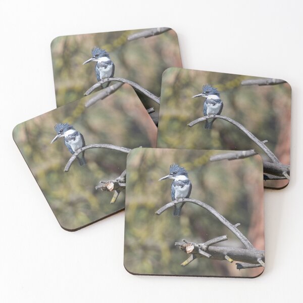 Item preview, Female Belted Kingfisher  designed and sold by Cblifeisgood.