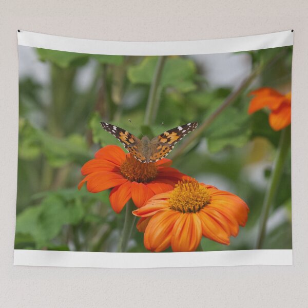 Item preview, Painted lady butterfly  designed and sold by Cblifeisgood.