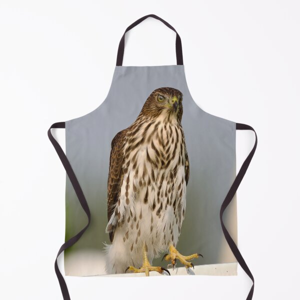 Item preview, Young Cooper’s Hawk designed and sold by Cblifeisgood.