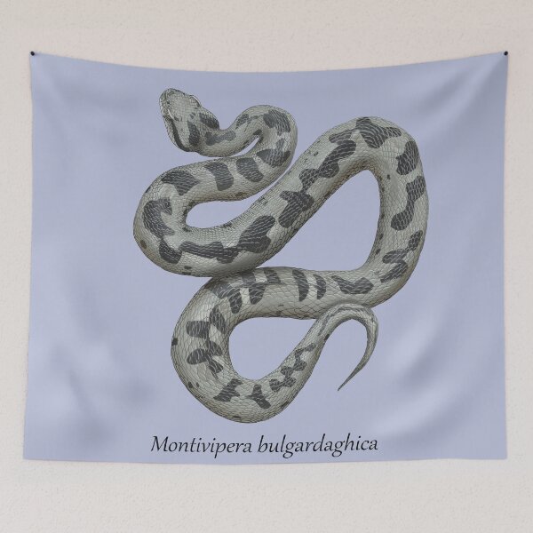Item preview, Montivipera bulgardaghica - Mount Bulgar Viper designed and sold by ArtByBreah.