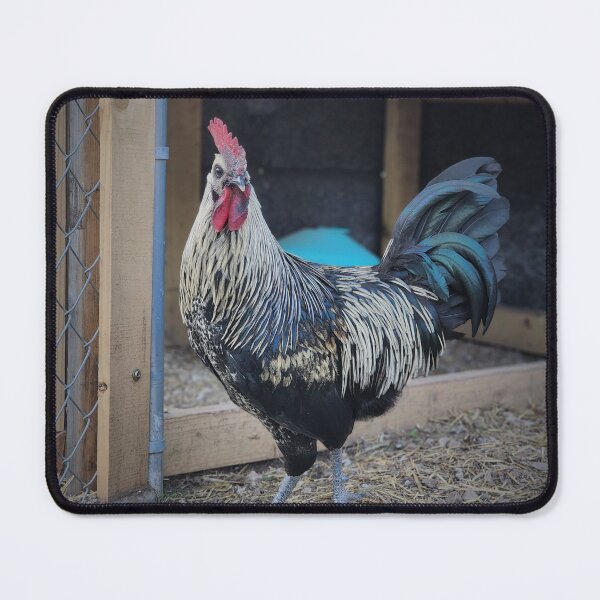 Item preview, Rooster named Goose designed and sold by bryanJOSLYN.
