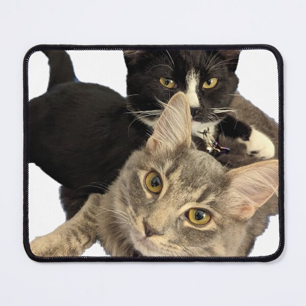 Item preview, Two cats lounging designed and sold by observation.