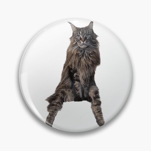 Item preview, Cat sitting like a person designed and sold by observation.