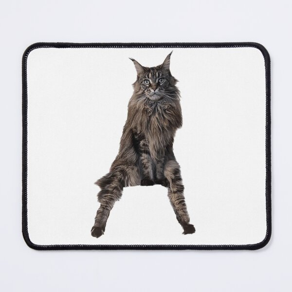 Item preview, Cat sitting like a person designed and sold by observation.