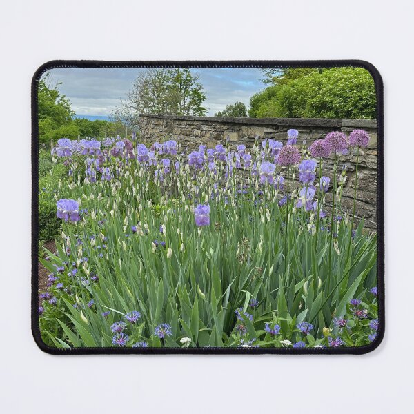 Item preview, Irises and Catskill Mountains designed and sold by HudsonRiverArt.