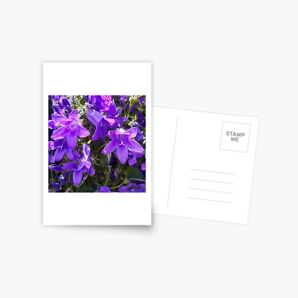 Aperçu de l'œuvre Printemps de campanules en grappes violettes créée et vendue par dukeredwulf.