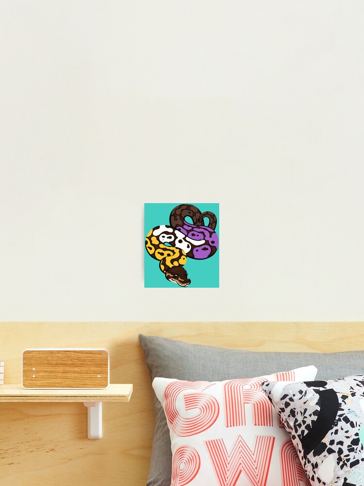 Thumbnail 2 of 3, Photographic Print, Ball Python Pride: Nonbinary designed and sold by catdoq.