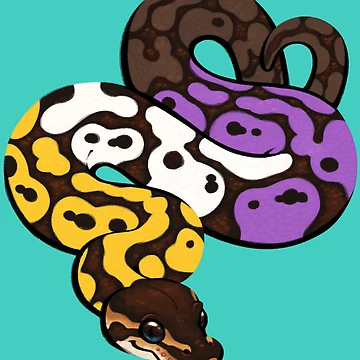 Artwork thumbnail, Ball Python Pride: Nonbinary by catdoq