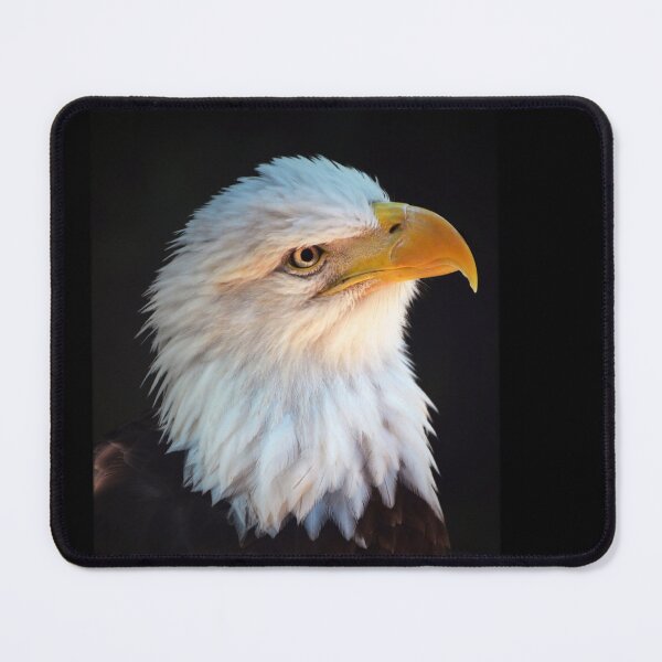 Item preview, Eagle designed and sold by Savannah Gibbs.