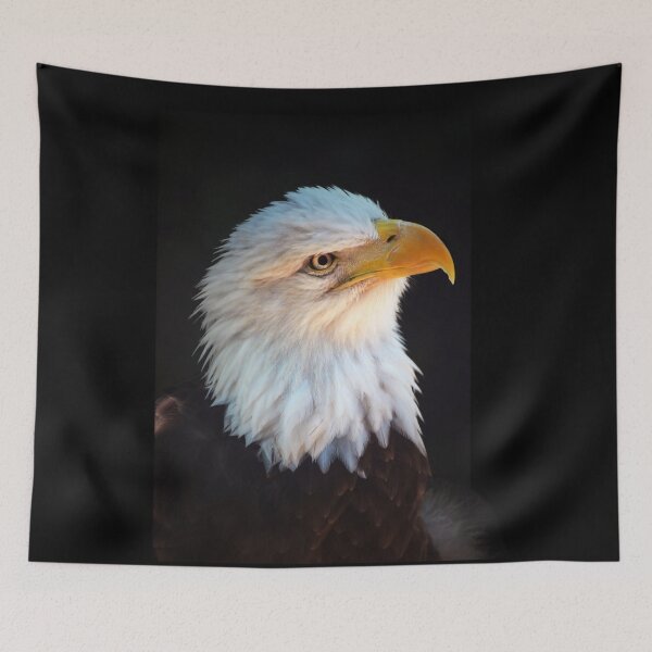 Item preview, Eagle designed and sold by Savannah Gibbs.