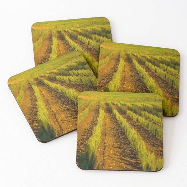 Item preview, Evergreen Rows designed and sold by Chelsea Schermerhorn.