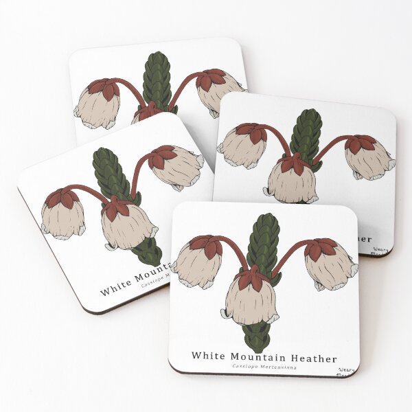 Item preview, White Mountain Heather in Color (cassiope mertensiana) designed and sold by WearyMeadows.