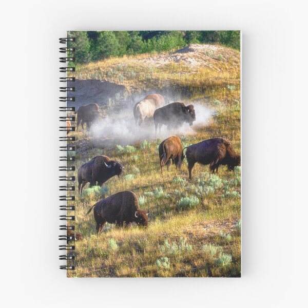 Item preview, Bison at the National Bison Range - Montana designed and sold by Kathy Weaver.