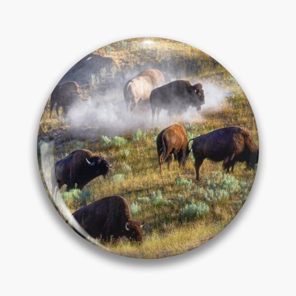 Item preview, Bison at the National Bison Range - Montana designed and sold by Kathy Weaver.