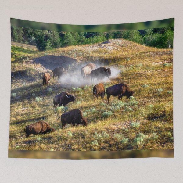 Item preview, Bison at the National Bison Range - Montana designed and sold by Kathy Weaver.