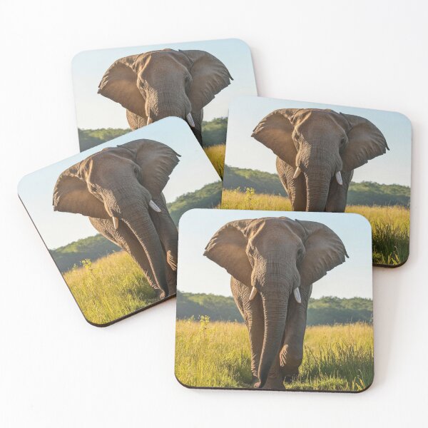 Item preview, Elephant Portrait. Elephant photo, vibrant elephant, vintage elephant, summer season designed and sold by ElephantVibes.