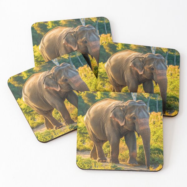 Item preview, Elephant Portrait. Elephant photo, vibrant elephant, vintage elephant, summer season designed and sold by ElephantVibes.