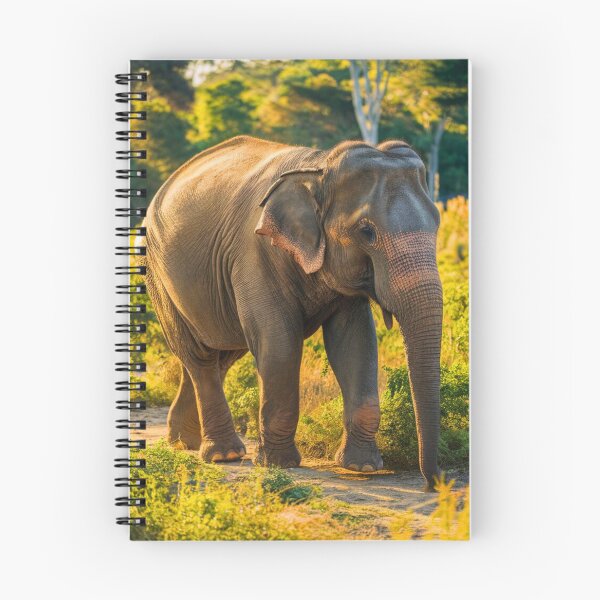 Item preview, Elephant Portrait. Elephant photo, vibrant elephant, vintage elephant, summer season designed and sold by ElephantVibes.