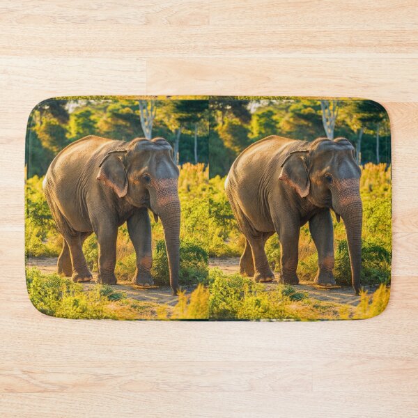 Item preview, Elephant Portrait. Elephant photo, vibrant elephant, vintage elephant, summer season designed and sold by ElephantVibes.
