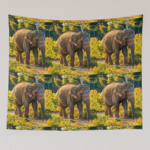 Item preview, Elephant Portrait. Elephant photo, vibrant elephant, vintage elephant, summer season designed and sold by ElephantVibes.