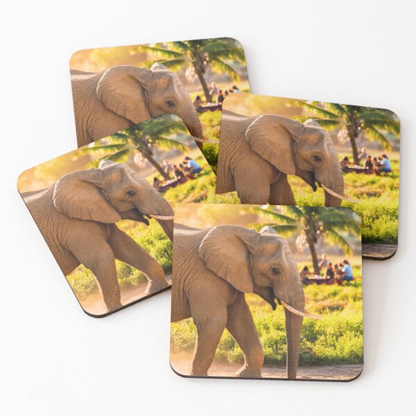 Item preview, Elephant Portrait. Elephant photo, vibrant elephant, vintage elephant, summer season designed and sold by ElephantVibes.
