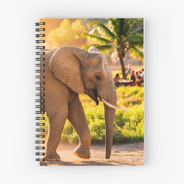 Item preview, Elephant Portrait. Elephant photo, vibrant elephant, vintage elephant, summer season designed and sold by ElephantVibes.