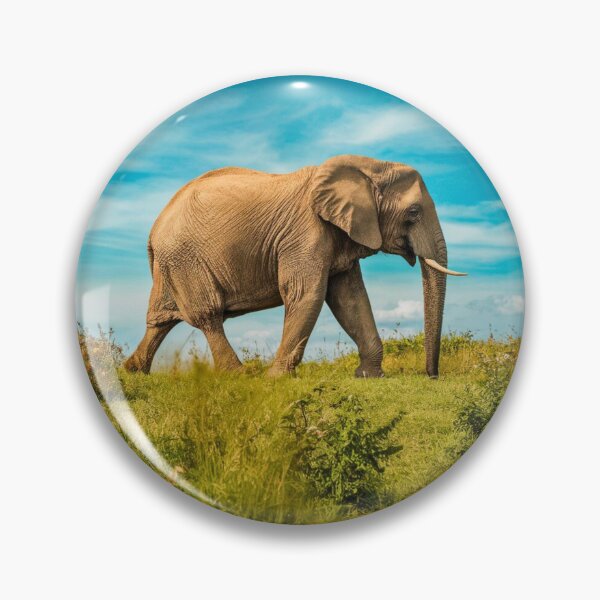 Item preview, Elephant Portrait. Elephant photo, vibrant elephant, vintage elephant, summer season designed and sold by ElephantVibes.