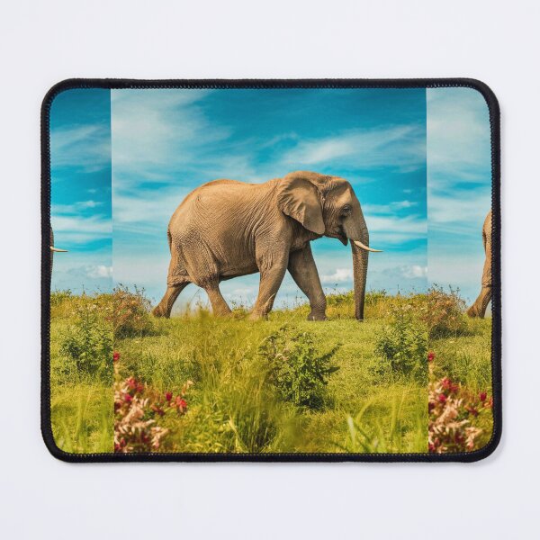 Item preview, Elephant Portrait. Elephant photo, vibrant elephant, vintage elephant, summer season designed and sold by ElephantVibes.