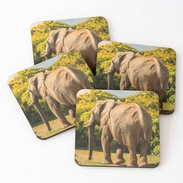 Item preview, Elephant Portrait. Elephant photo, vibrant elephant, vintage elephant, summer season designed and sold by ElephantVibes.