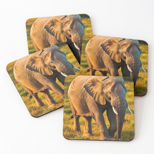 Item preview, Elephant Portrait. Elephant photo, vibrant elephant, vintage elephant, summer season designed and sold by ElephantVibes.