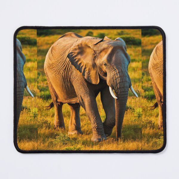 Item preview, Elephant Portrait. Elephant photo, vibrant elephant, vintage elephant, summer season designed and sold by ElephantVibes.