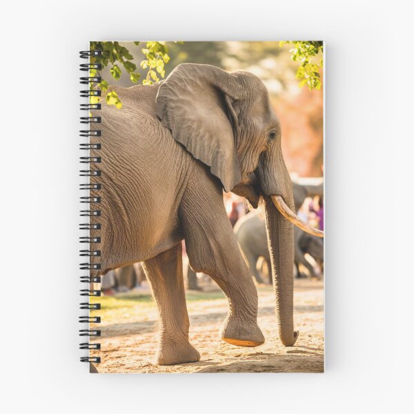Item preview, Elephant Portrait. Elephant photo, vibrant elephant, vintage elephant, summer season designed and sold by ElephantVibes.