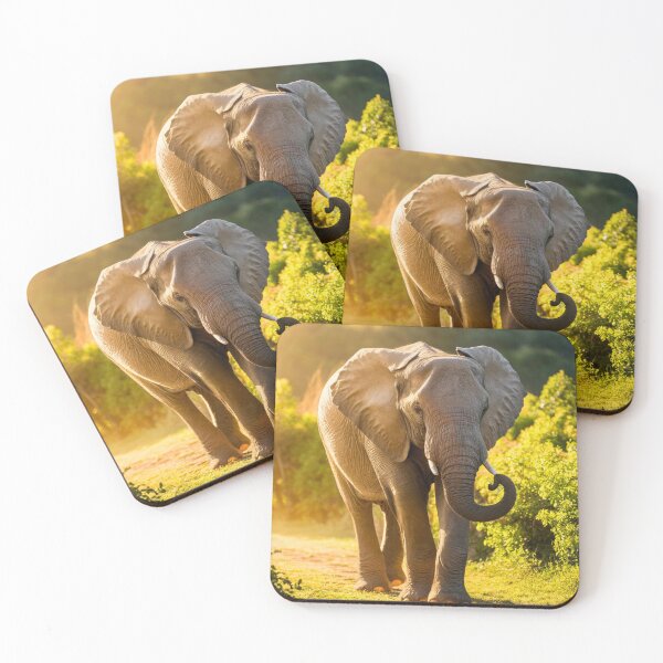 Item preview, Elephant Portrait. Elephant photo, vibrant elephant, vintage elephant, summer season designed and sold by ElephantVibes.