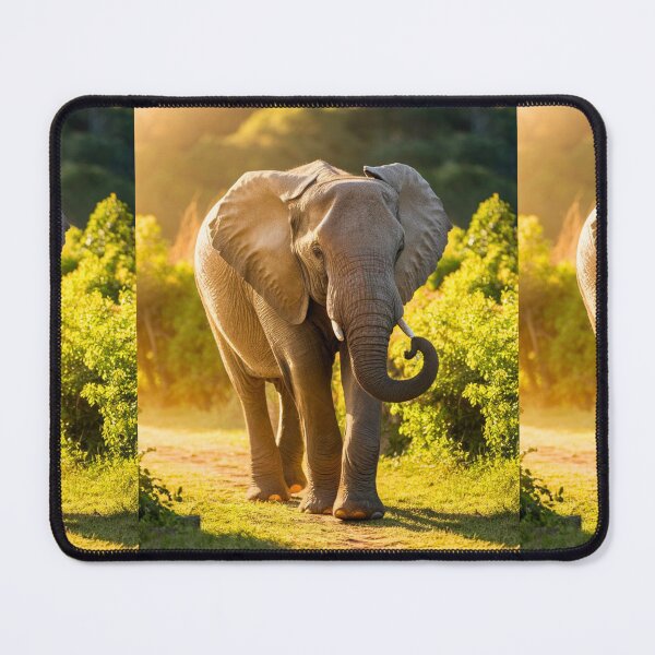Item preview, Elephant Portrait. Elephant photo, vibrant elephant, vintage elephant, summer season designed and sold by ElephantVibes.
