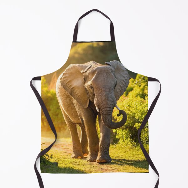 Item preview, Elephant Portrait. Elephant photo, vibrant elephant, vintage elephant, summer season designed and sold by ElephantVibes.